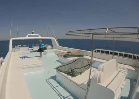 sundeck